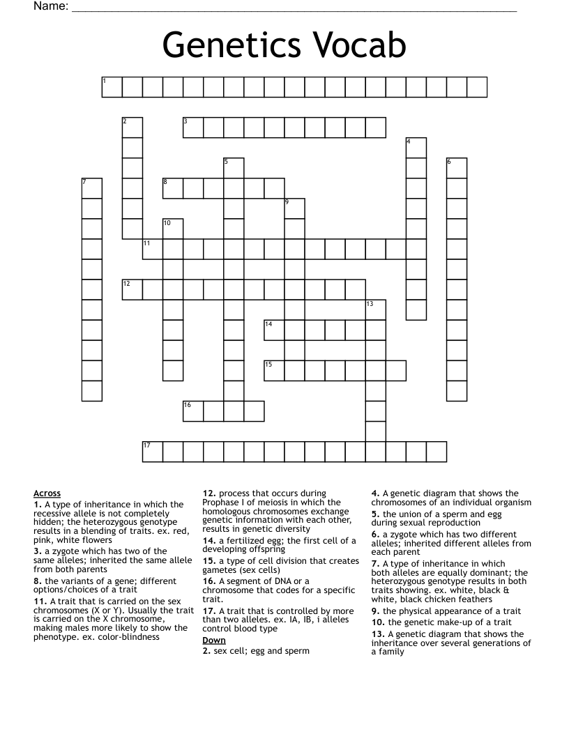 Genetics Vocab  Crossword
