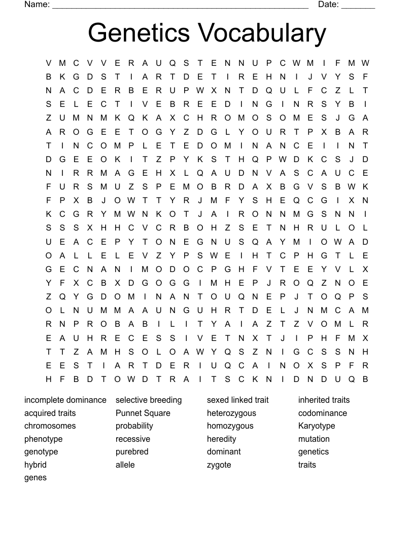 Genetics Vocabulary Word Search