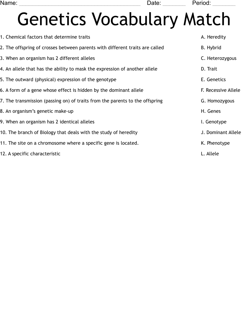 Genetics Vocabulary Match Worksheet