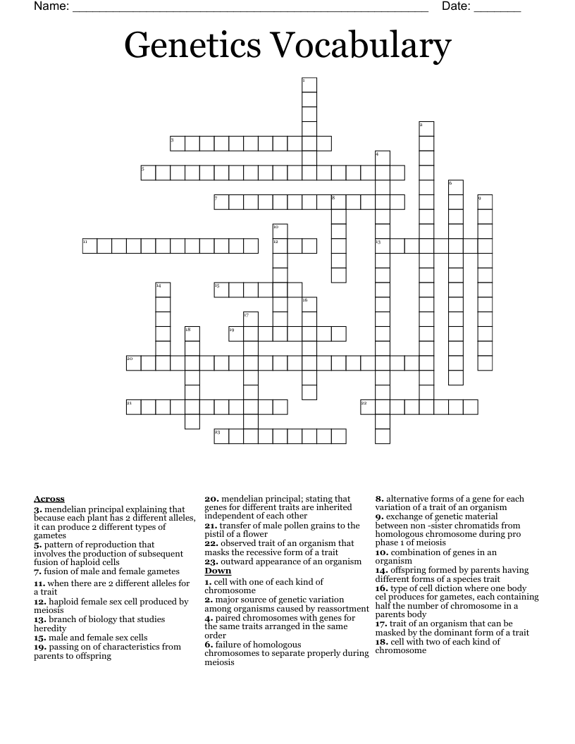 Genetics Vocabulary  Crossword