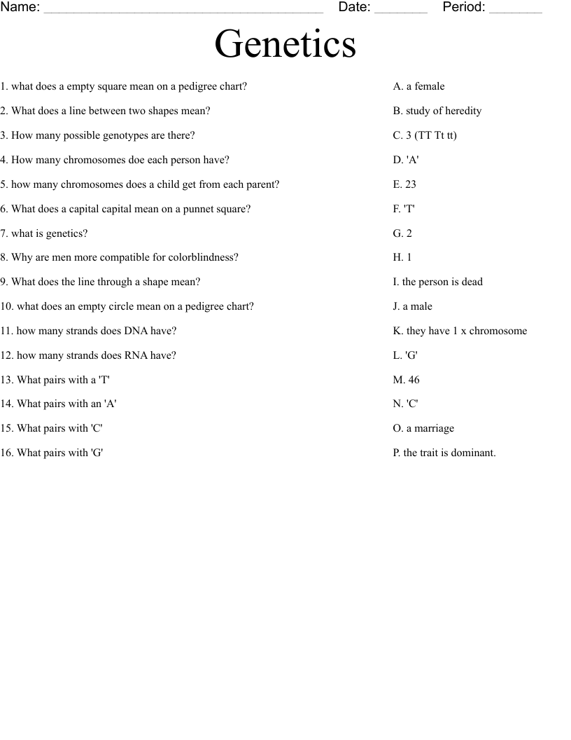 Genetics  Worksheet