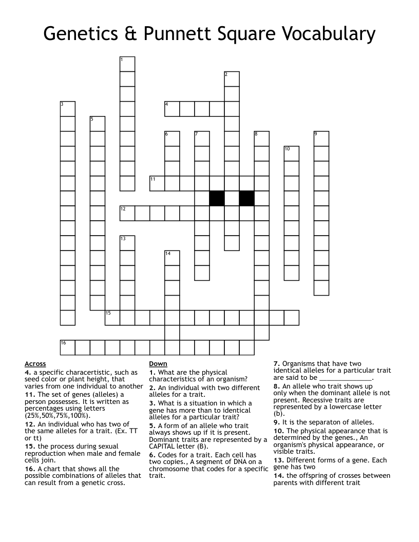 Genetics & Punnett Square Vocabulary Crossword