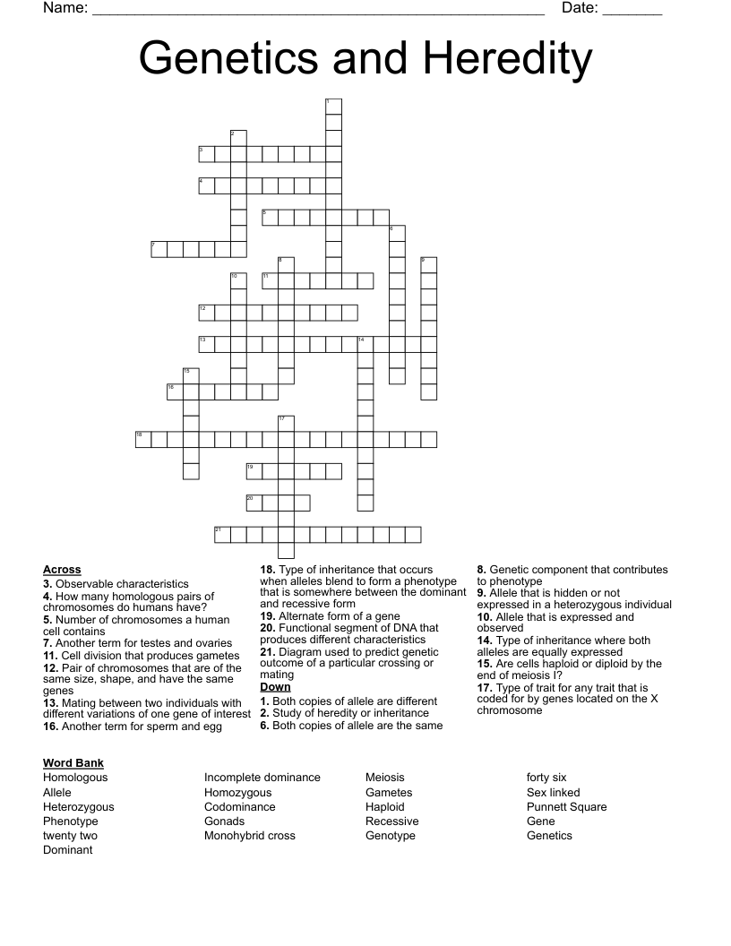 Genetics and Heredity Crossword