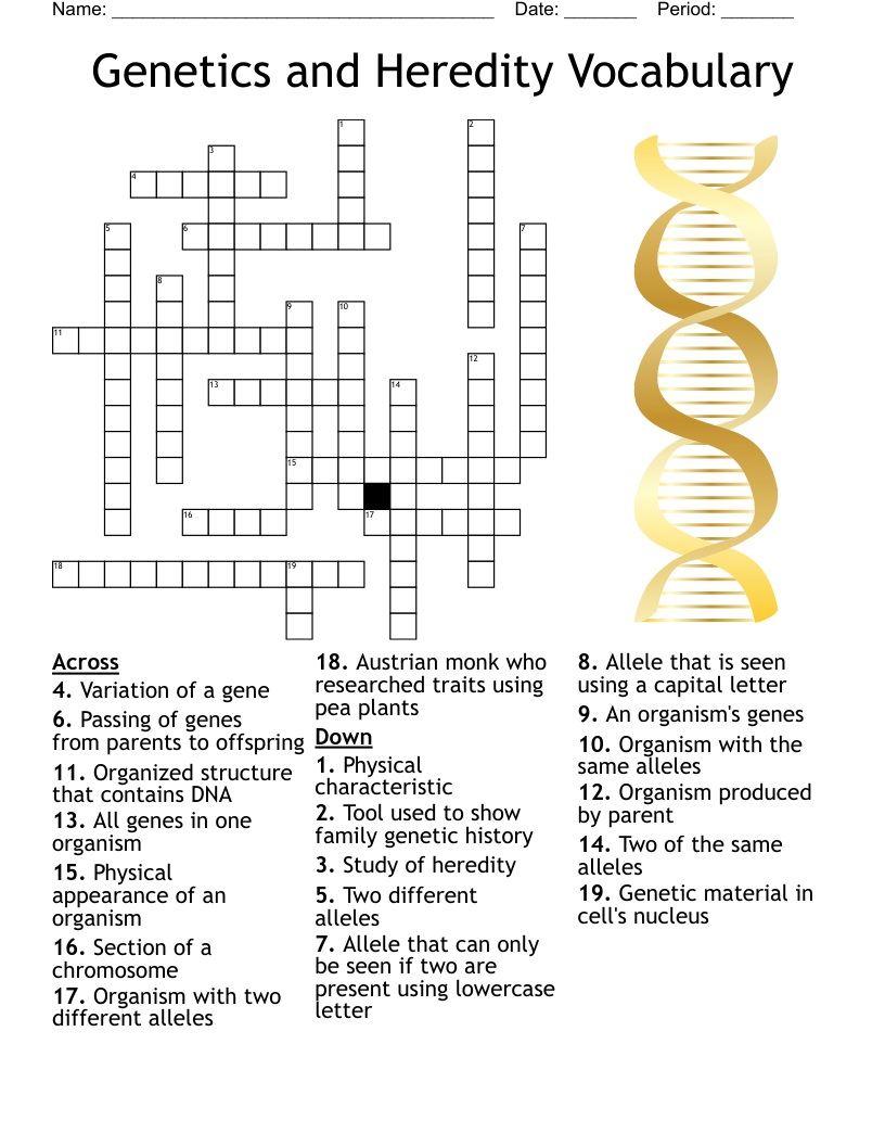 Genetics and Heredity Vocabulary Crossword