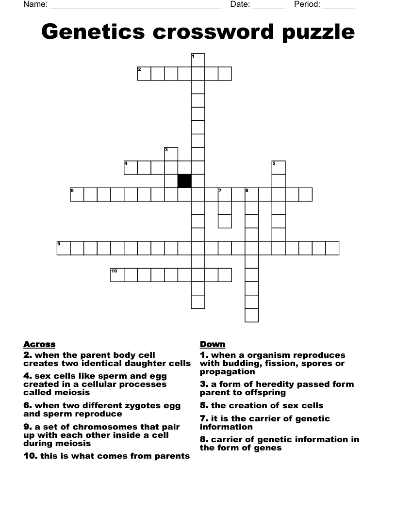 Genetics crossword puzzle