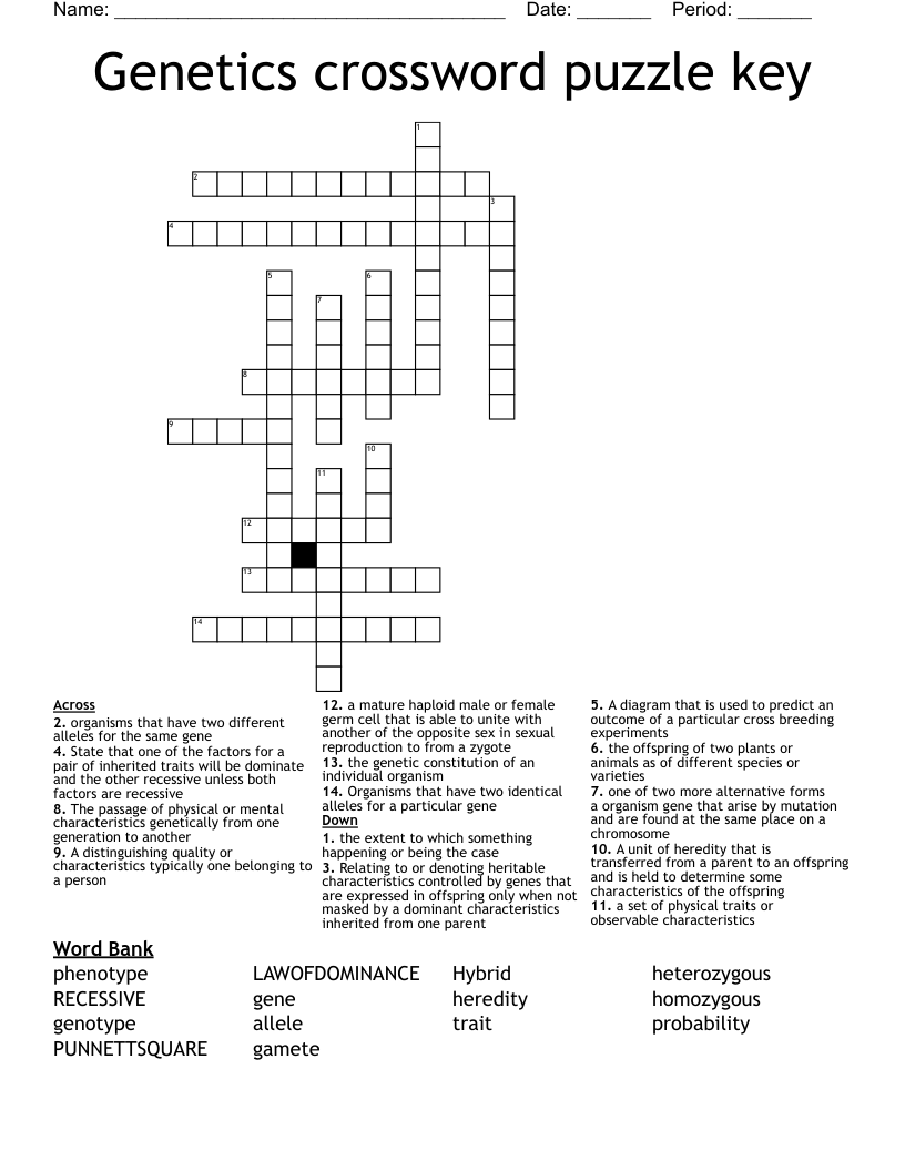 Genetics crossword puzzle key