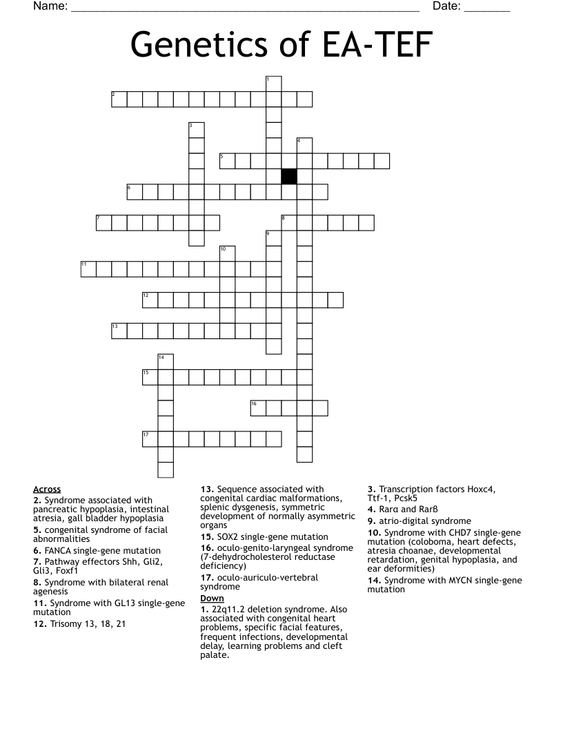 Genetics of EA-TEF Crossword