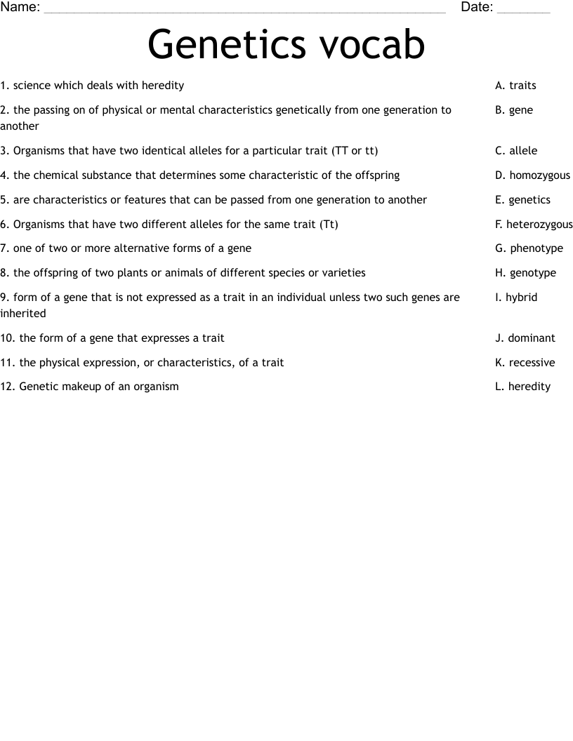 Genetics vocab Worksheet