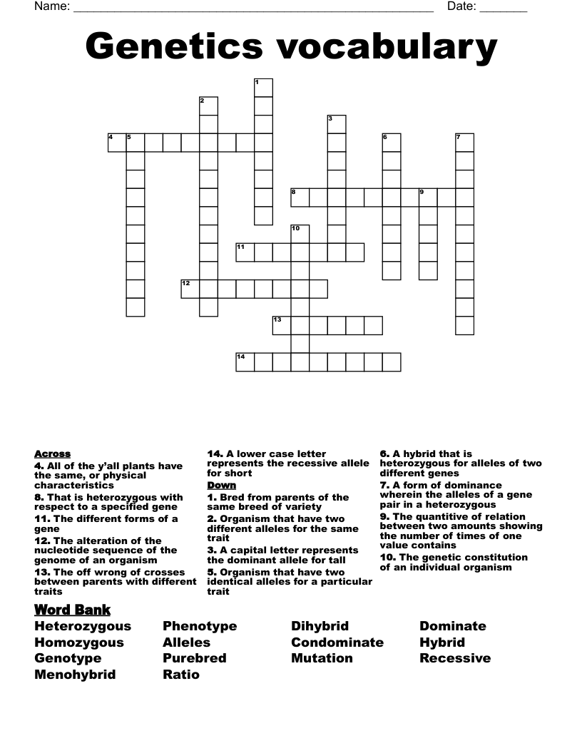 Genetics vocabulary  Crossword