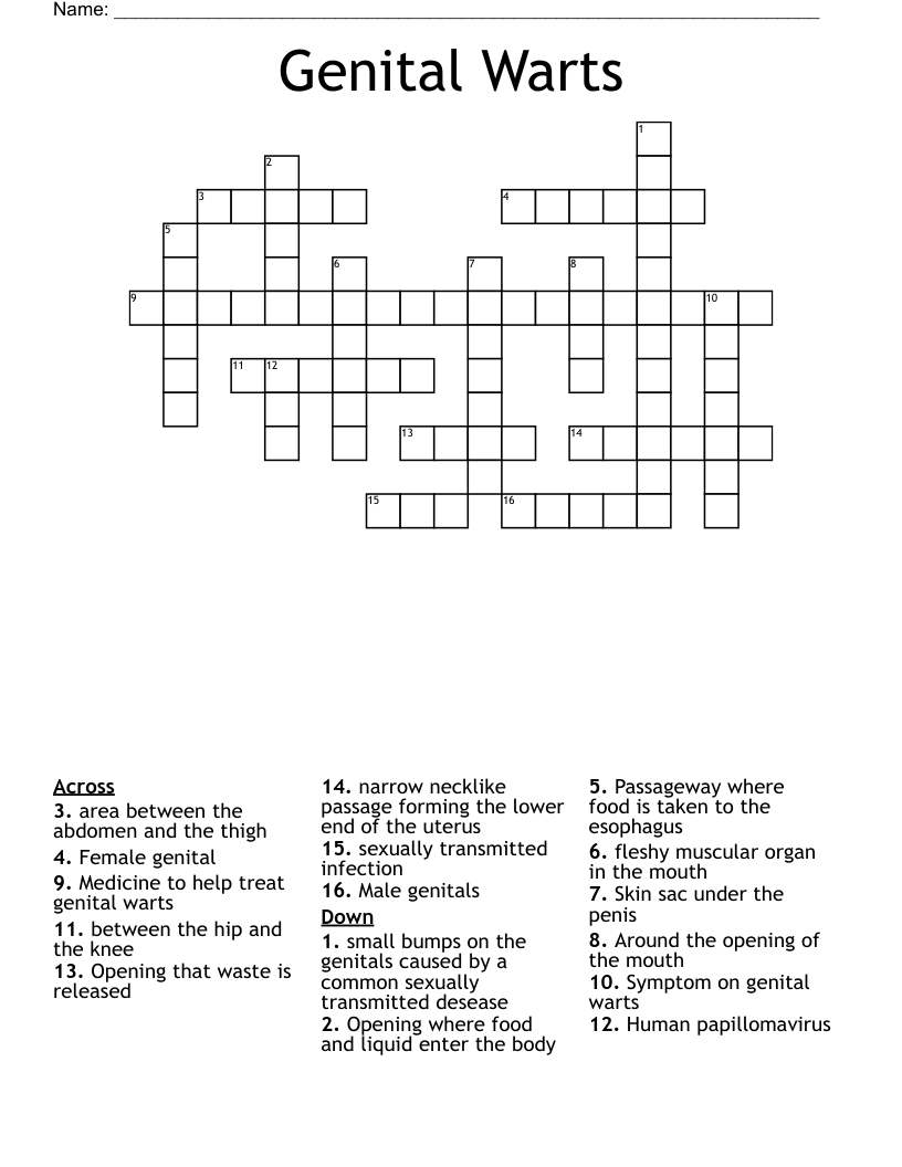 Genital Warts Crossword
