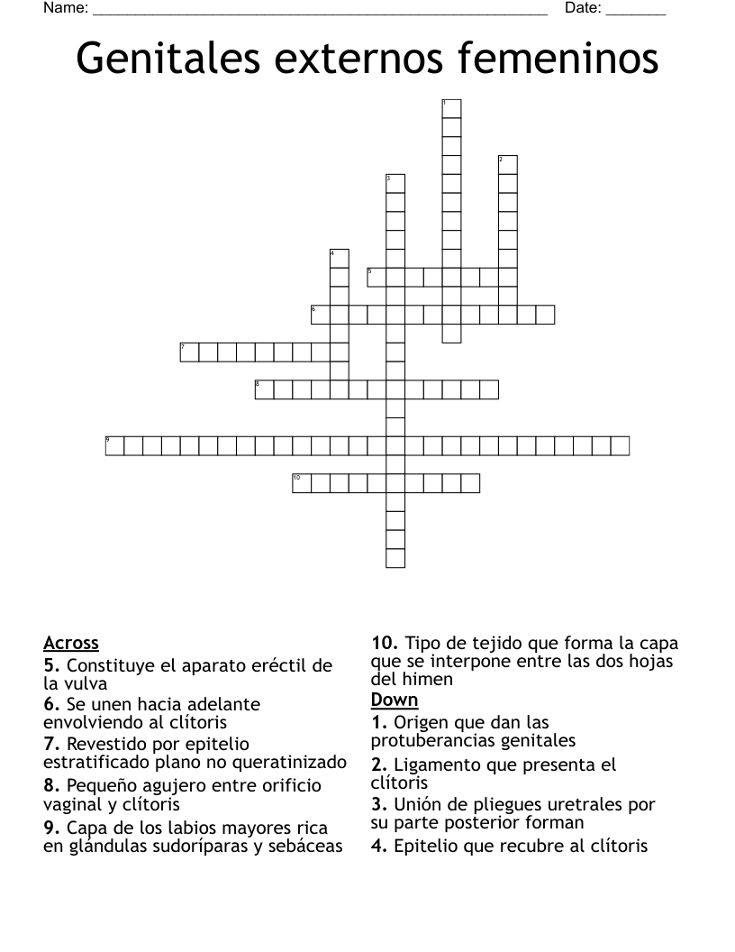 Genitales externos femeninos Crossword