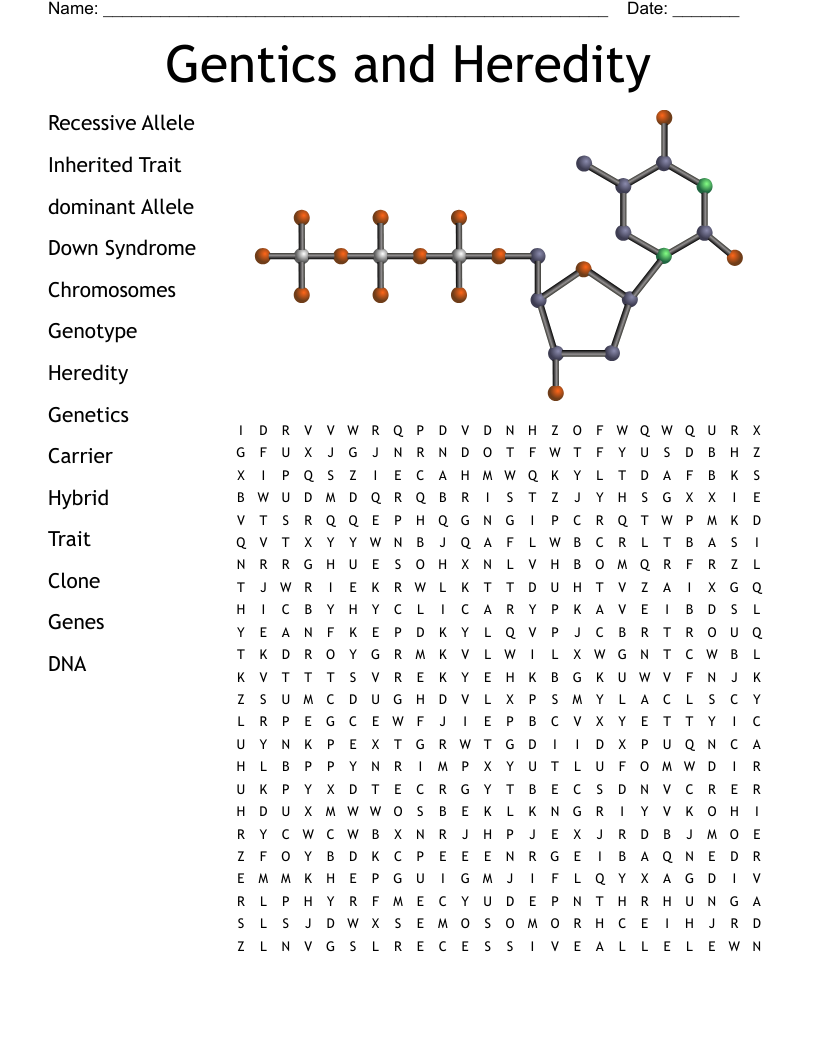 Gentics and Heredity Word Search