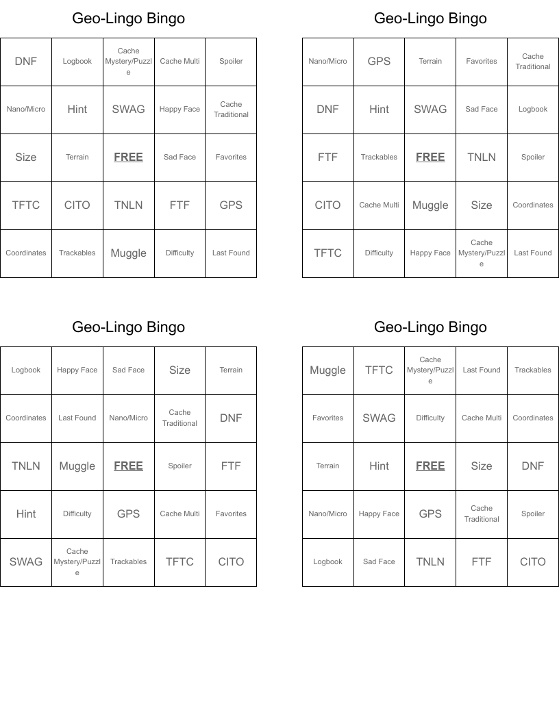 Geo-Lingo Bingo