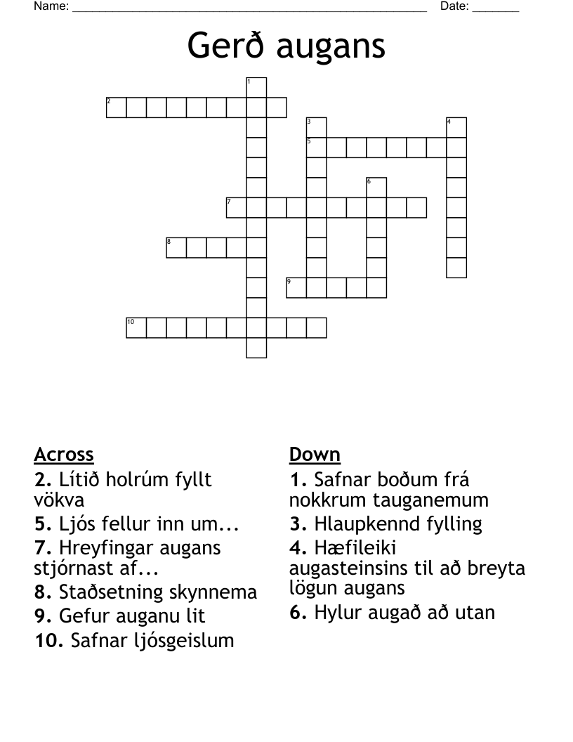 Gerð augans Crossword