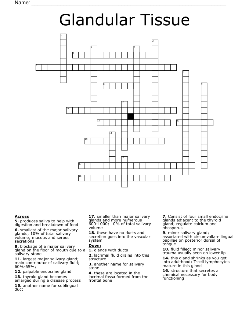 Glandular Tissue Crossword