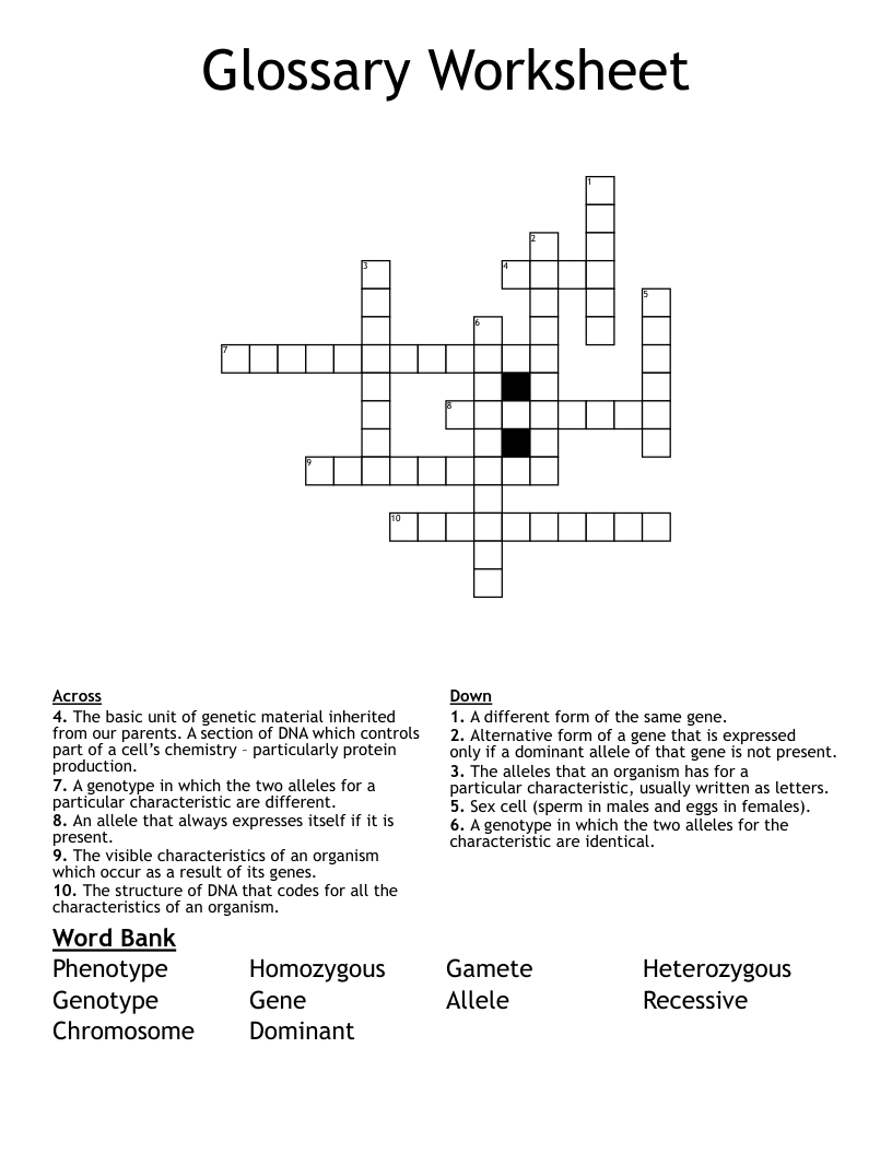 Glossary Worksheet Crossword