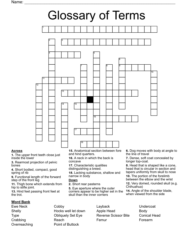 Glossary of Terms Crossword
