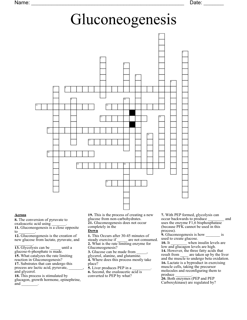 Gluconeogenesis Crossword