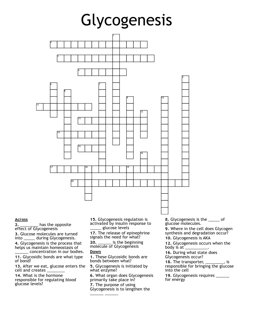 Glycogenesis Crossword