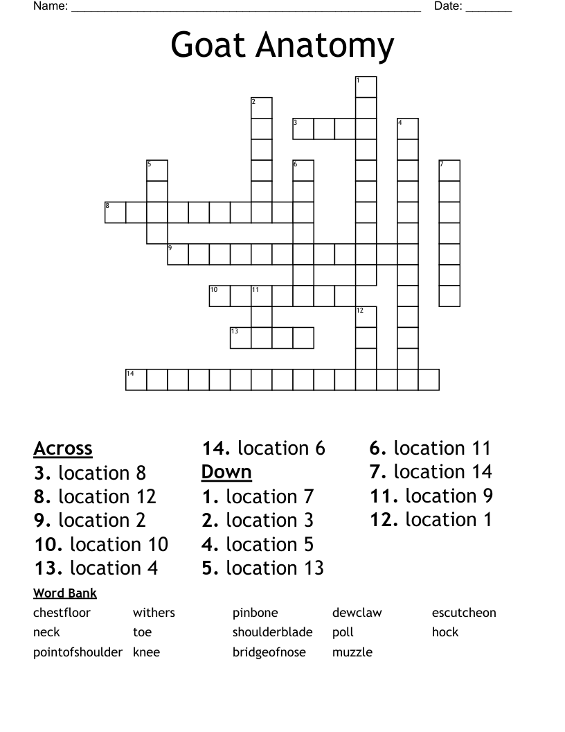 Goat Anatomy Crossword