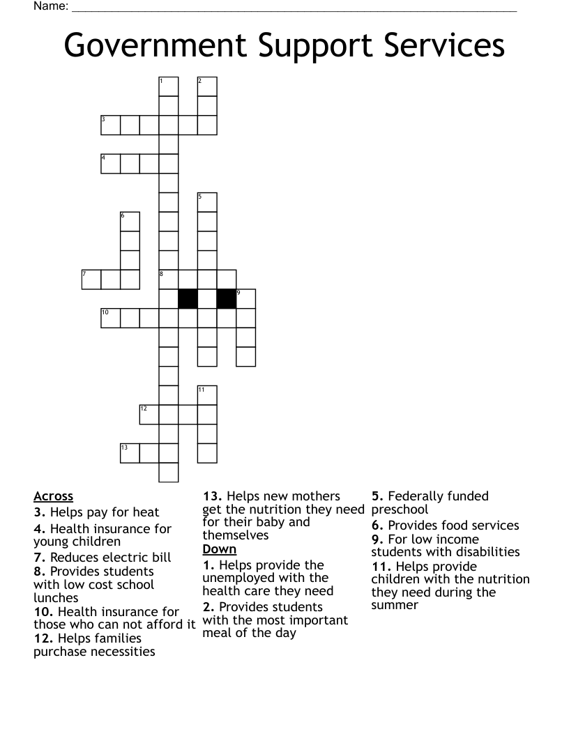 Government Support Services  Crossword