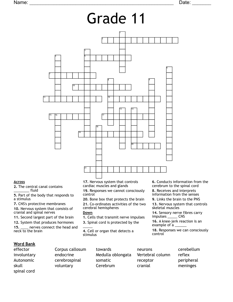 Grade 11 Crossword