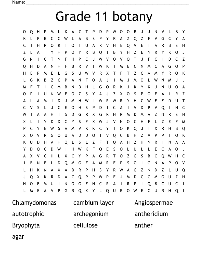 Grade 11 botany  Word Search