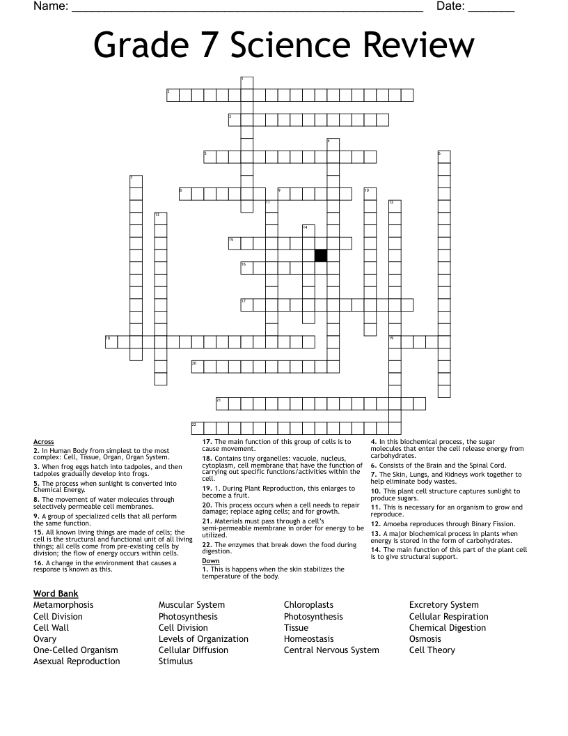 Grade 7 Science Review Crossword