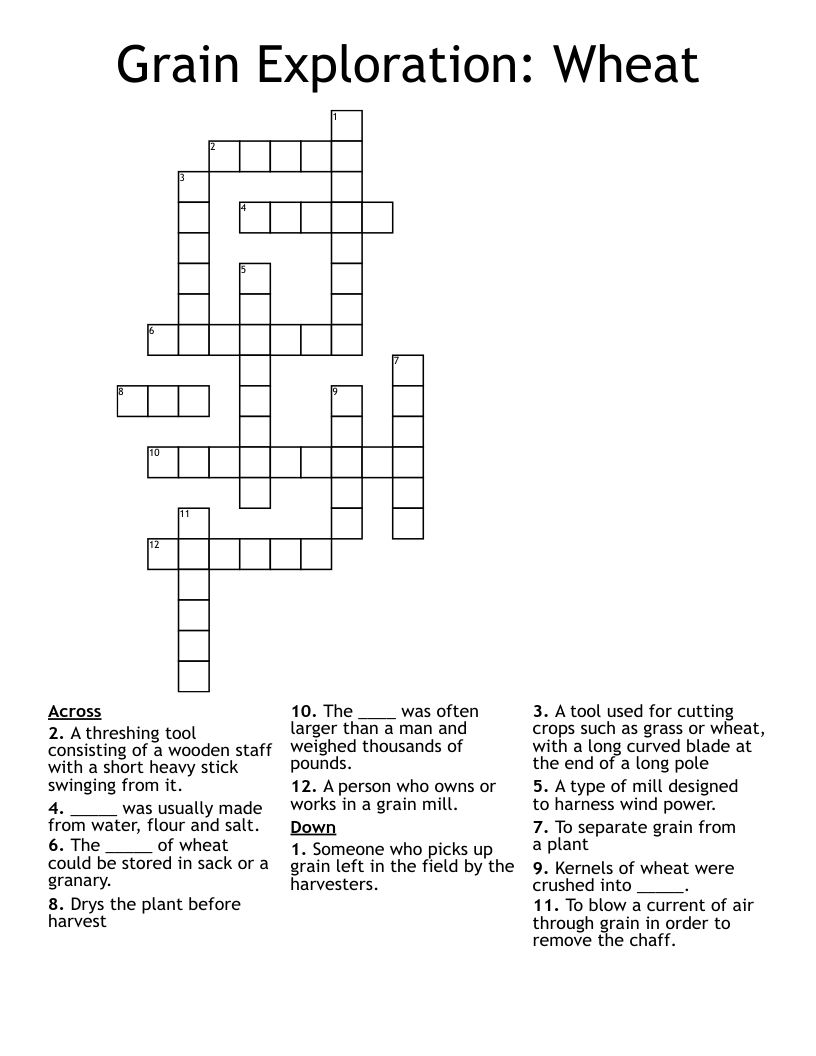Grain Exploration: Wheat  Crossword