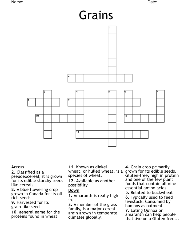Grains Crossword