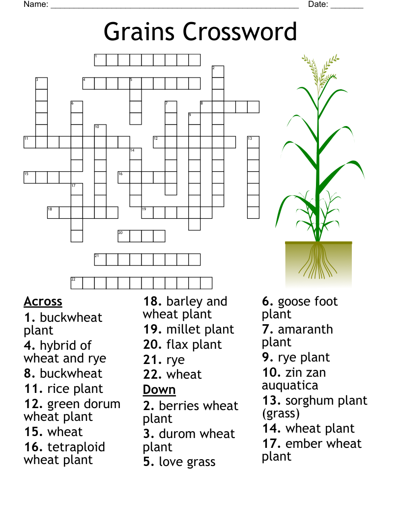 Grains Crossword 