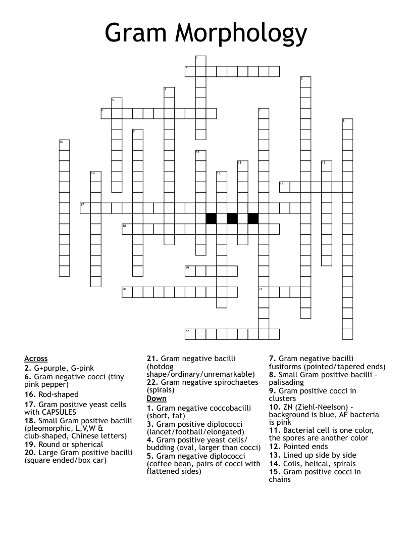 Gram Morphology Crossword