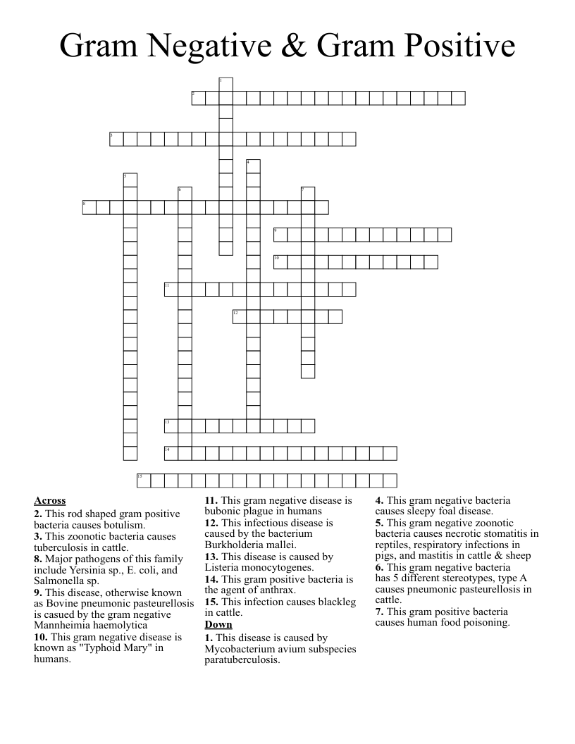 Gram Negative & Gram Positive Crossword