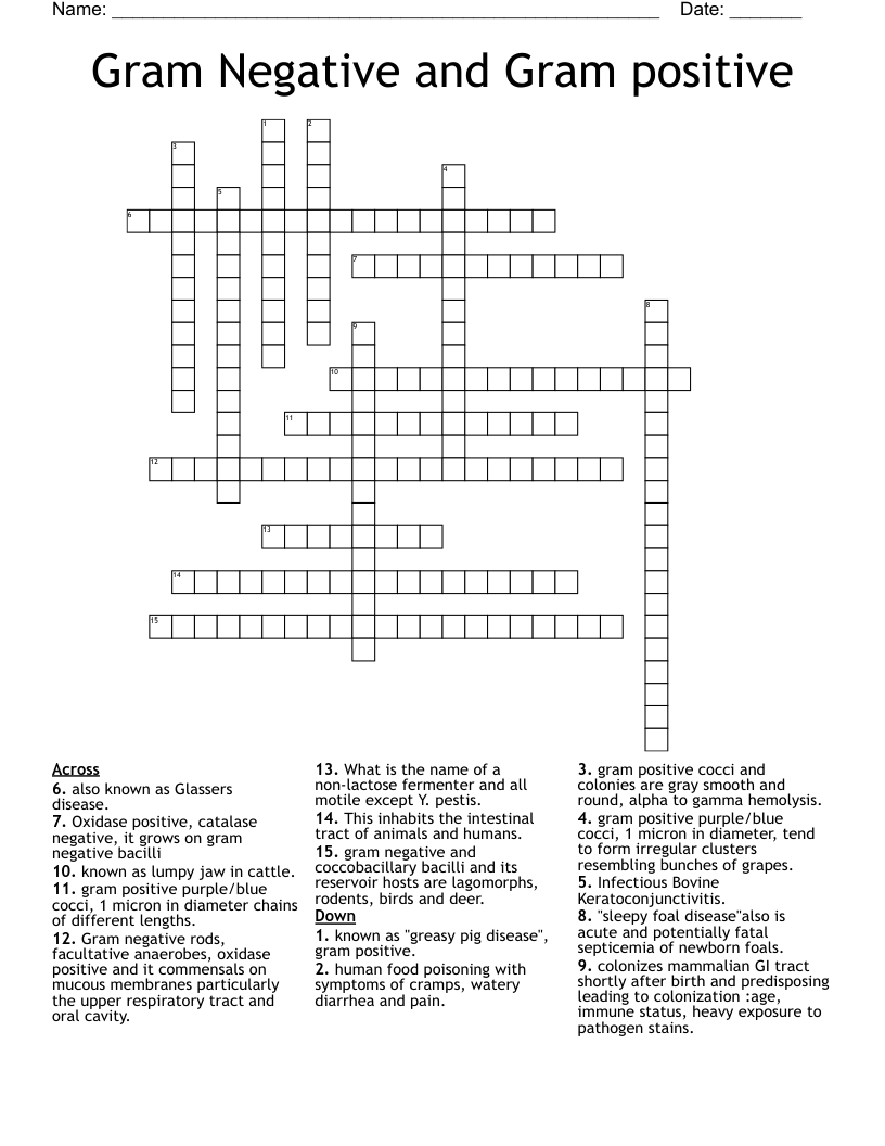 Gram Negative and Gram positive Crossword