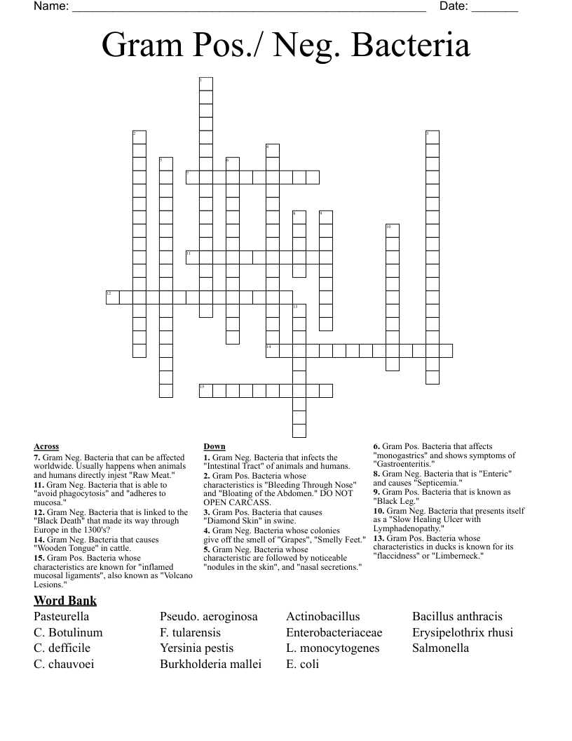 Gram Pos./ Neg. Bacteria  Crossword