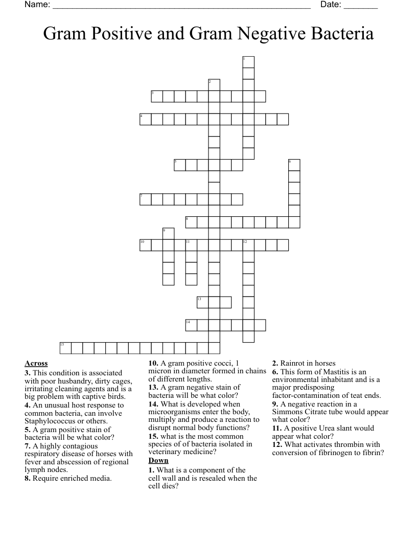 Gram Positive and Gram Negative Bacteria Crossword