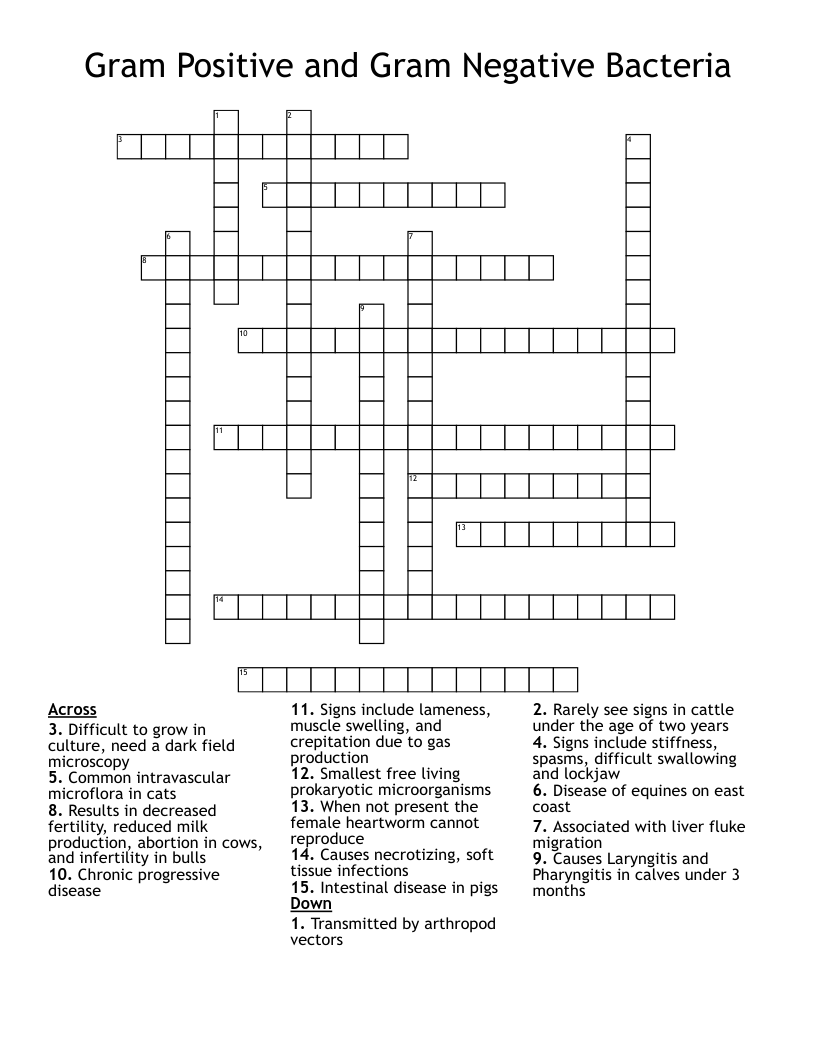 Gram Positive and Gram Negative Bacteria Crossword