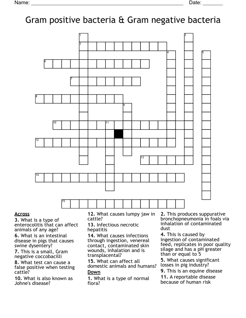 Gram positive bacteria & Gram negative bacteria Crossword