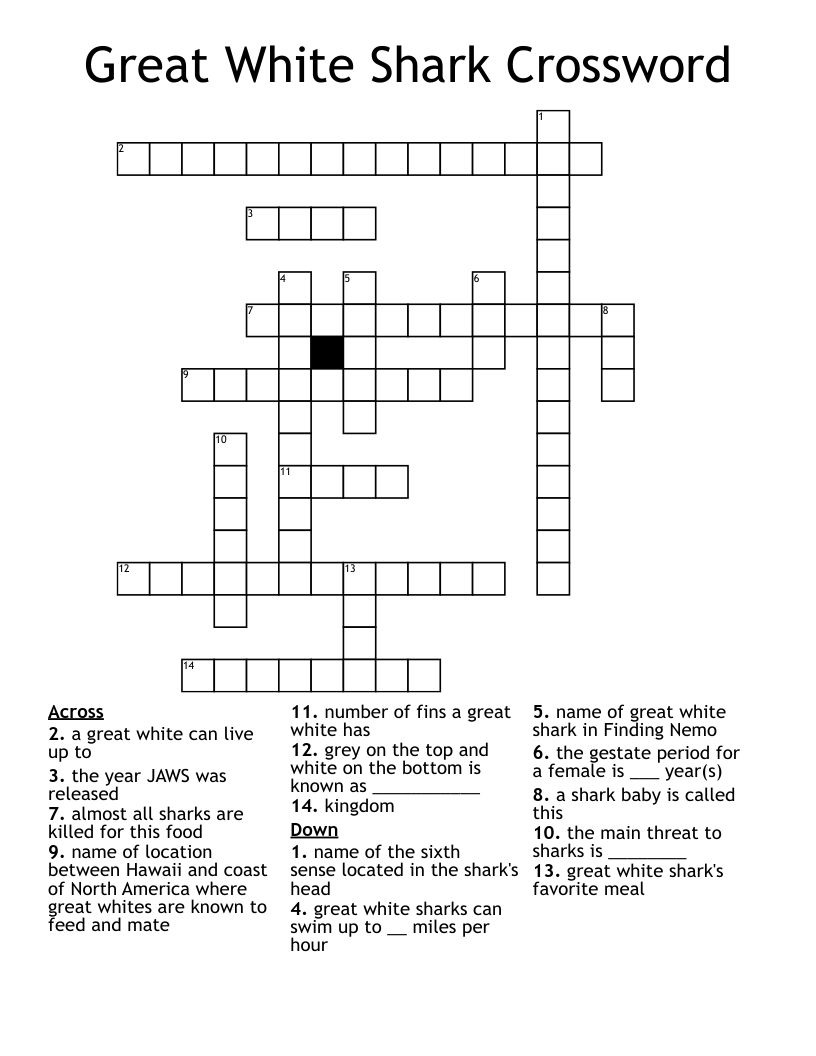 Great White Shark Crossword