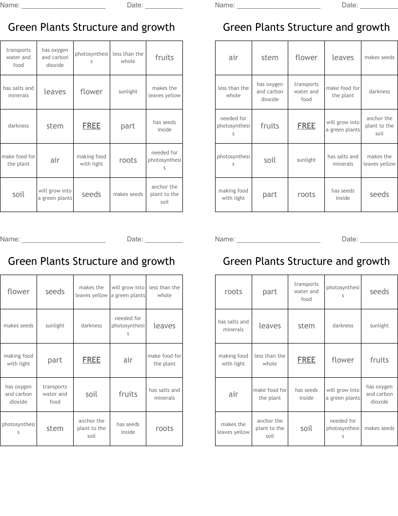 Green Plants Structure and growth Bingo Cards