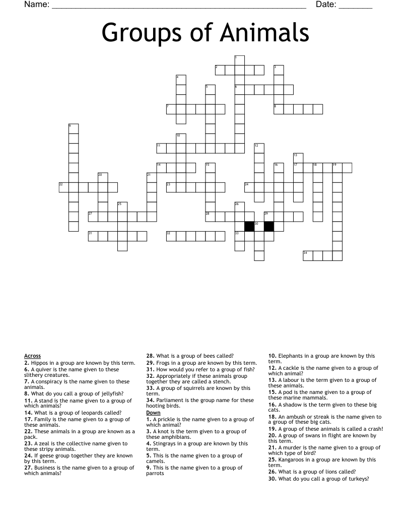 Groups of Animals Crossword
