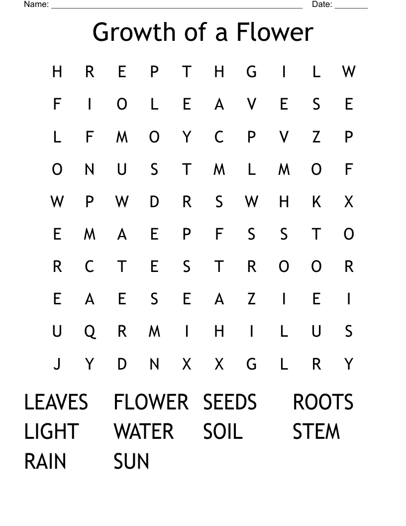 Growth of a  Flower Word Search
