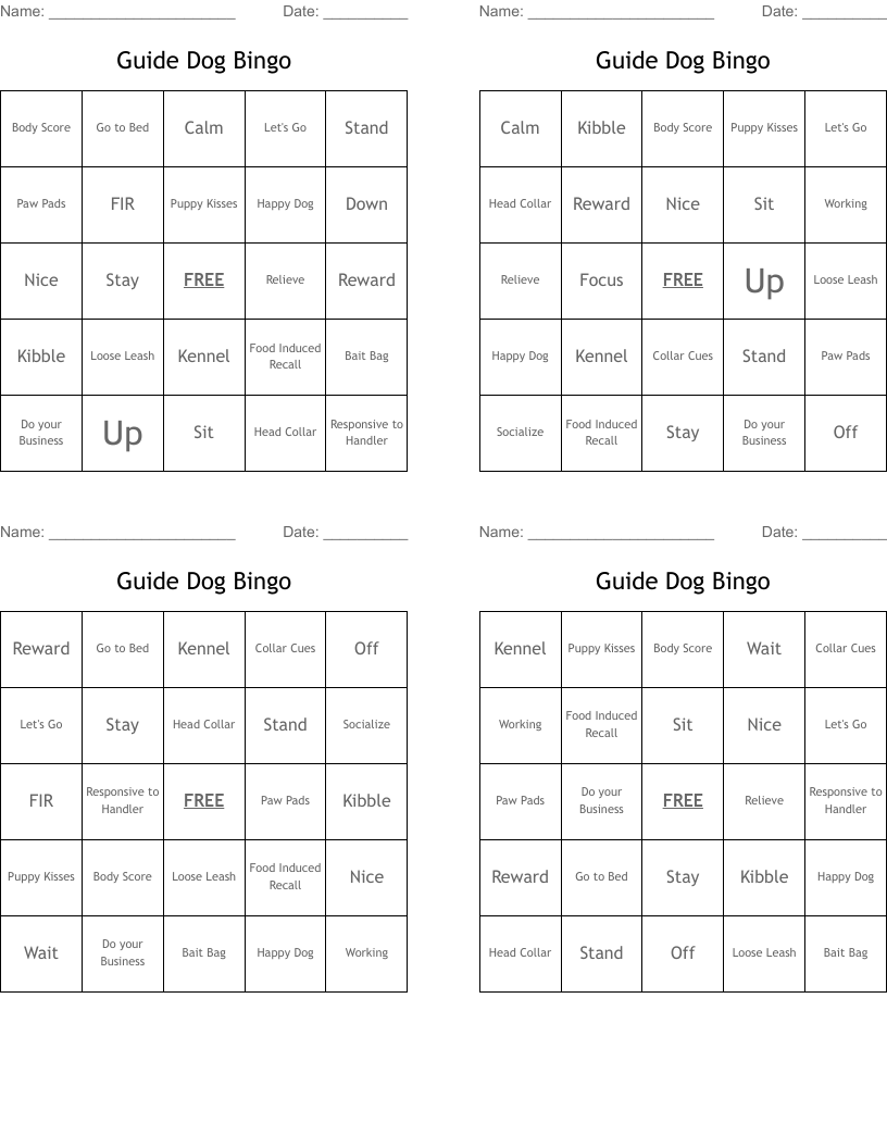 Guide Dog Bingo