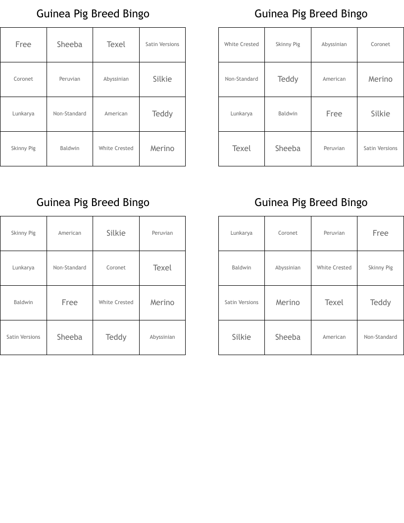 Guinea Pig Breed Bingo