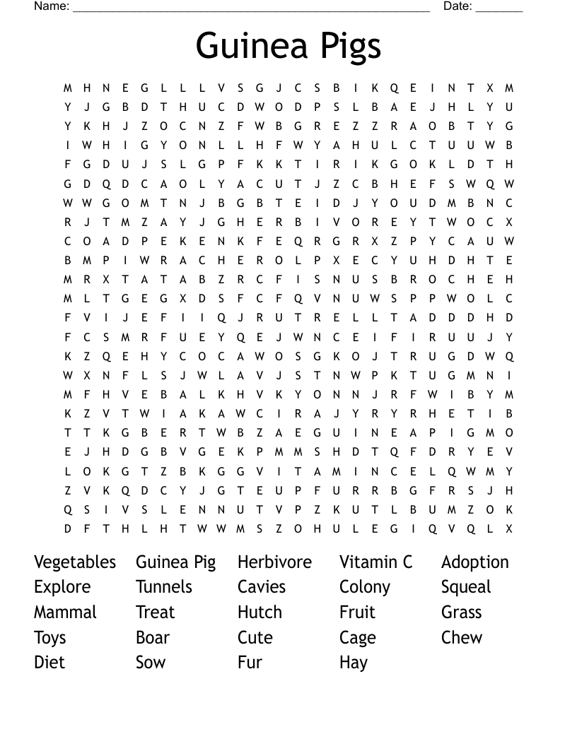 Guinea Pigs Word Search