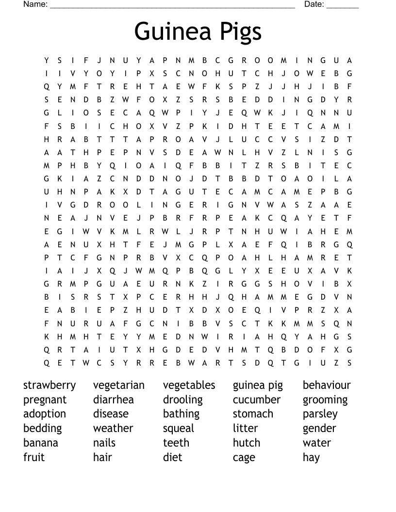 Guinea Pigs Word Search