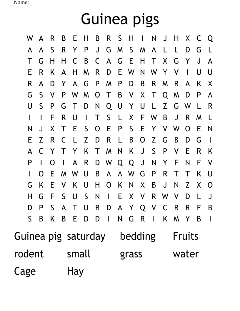 Guinea pigs Word Search