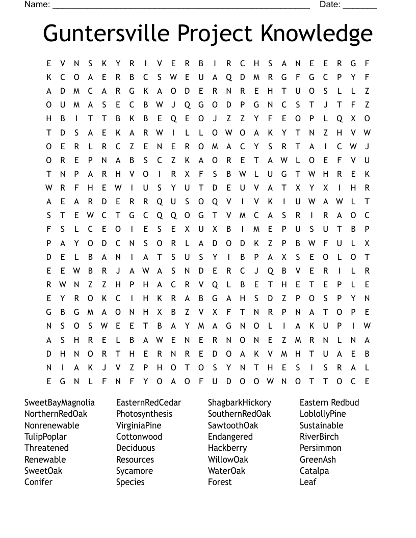 Guntersville Project Knowledge Word Search