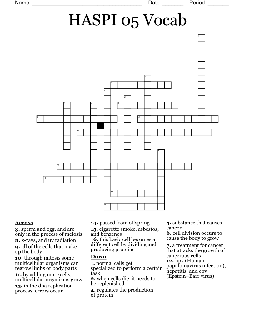 HASPI 05 Vocab Crossword
