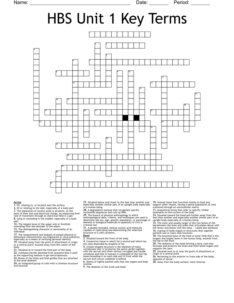 HBS Unit 1 Key Terms Crossword